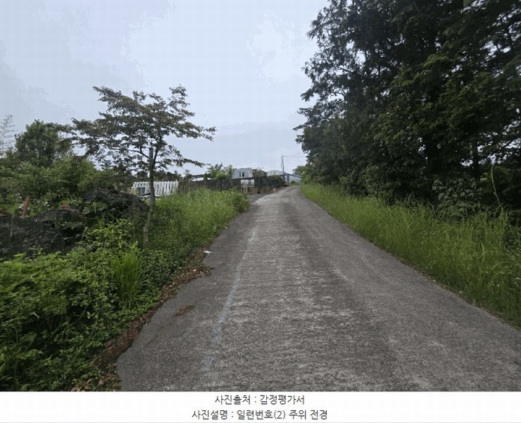 2025타경1311 제주특별자치도 제주시 조천읍 와흘리 1801-3 농지 경매 이미지