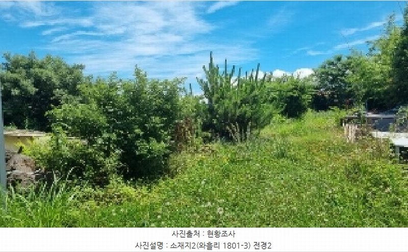 2025타경1311 제주특별자치도 제주시 조천읍 와흘리 1801-3 농지 경매 이미지