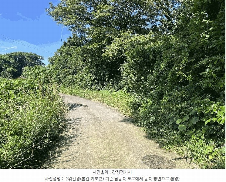 2025타경8289 제주특별자치도 제주시 한경면 청수리 603-3 임야 경매 이미지