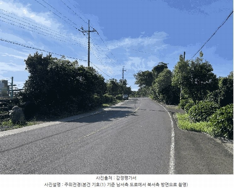 2025타경8289 제주특별자치도 제주시 한경면 청수리 603-3 임야 경매 이미지