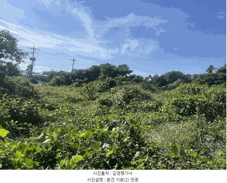 2025타경8289 제주특별자치도 제주시 한경면 청수리 598-2 농지 경매 이미지