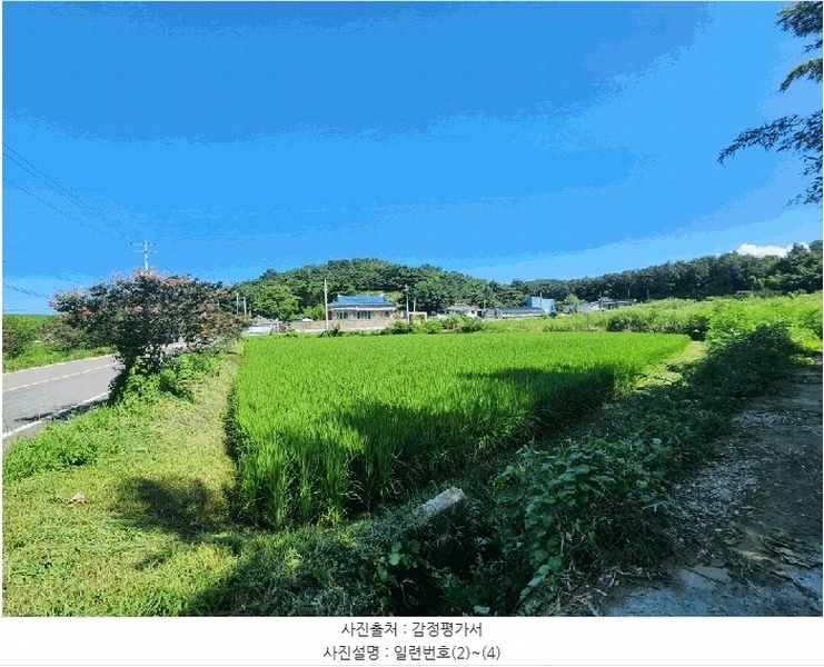 2025타경51338 전라남도 영암군 군서면 마산리 319 농지 경매 이미지