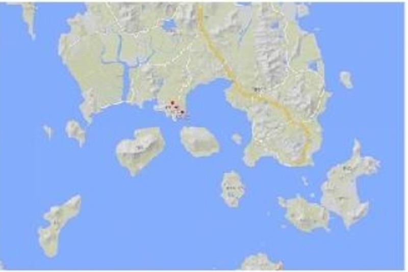 2025타경51491 전라남도 신안군 안좌면 소곡리 596-3 농지 경매 이미지