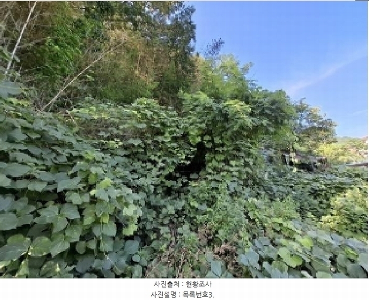2025타경795 경상남도 사천시 곤명면 정곡리 740 주택 경매 이미지