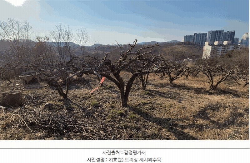 2025타경588 경상남도 진주시 초전동 산37-2 임야 경매 이미지