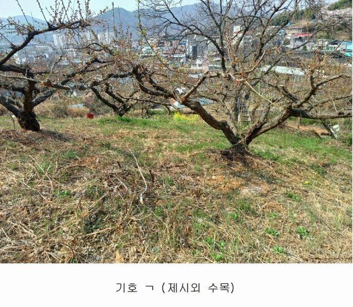 2025타경615 경상남도 하동군 하동읍 읍내리 97 농지 경매 이미지