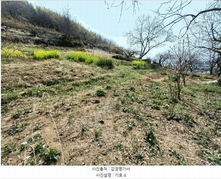 2025타경615 경상남도 하동군 하동읍 읍내리 97 농지 경매 이미지