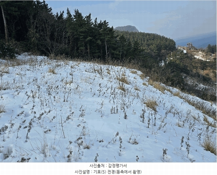 2025타경270 경상북도 울릉군 북면 현포리 618-1 농지 경매 이미지