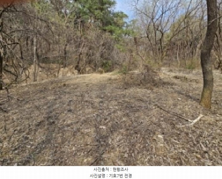 2025타경100218 경상북도 영주시 장수면 갈산리 586 농지 경매 이미지