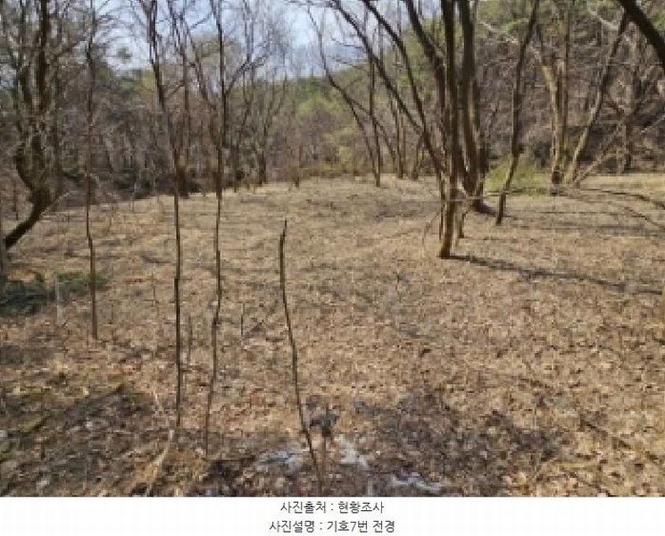 2025타경100218 경상북도 영주시 장수면 갈산리 586 농지 경매 이미지