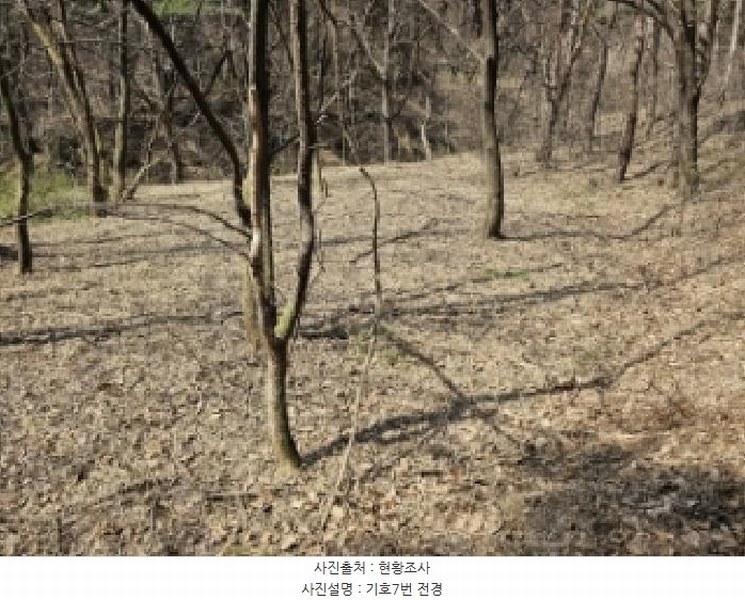 2025타경100218 경상북도 영주시 장수면 갈산리 586 농지 경매 이미지