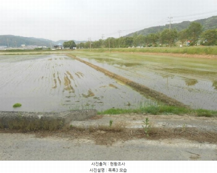 2025타경502427 세종특별자치시 전동면 보덕리 388-5 농지 경매 이미지
