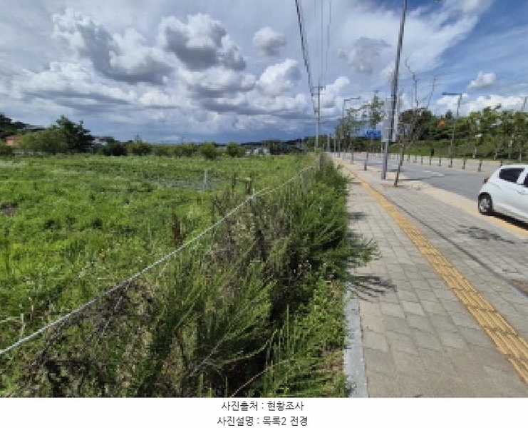 2025타경502876 세종특별자치시 연동면 내판리 669-4 대지 경매 이미지