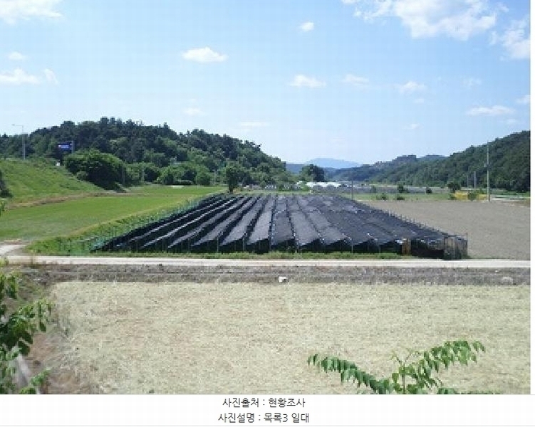 2025타경20660 강원특별자치도 횡성군 우천면 오원리 977-3 농지 경매 이미지