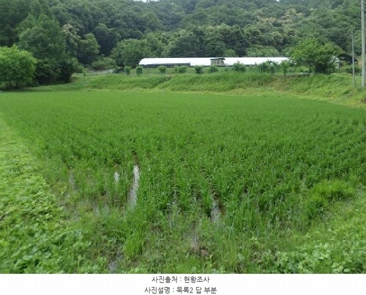 2025타경20663 강원특별자치도 원주시 지정면 신평리 401-2 농지 경매 이미지