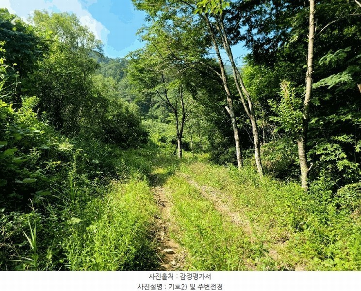 2025타경33255 전라남도 화순군 백아면 옥리 31-1 농지 경매 이미지