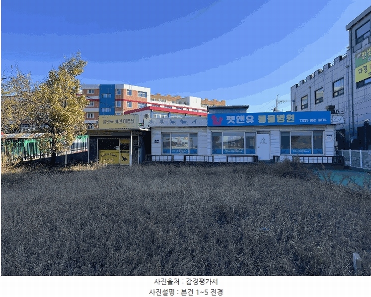 경매 이미지