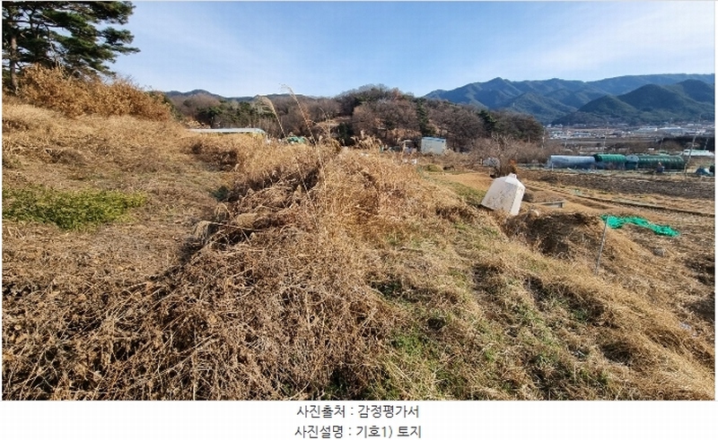2023타경40977 대구광역시 달성군 옥포읍 김흥리 185 농지 경매 이미지