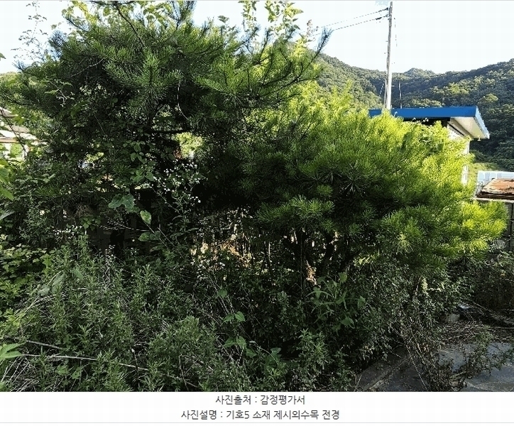 2025타경33110 전라남도 화순군 화순읍 앵남리 79-2 농지 경매 이미지