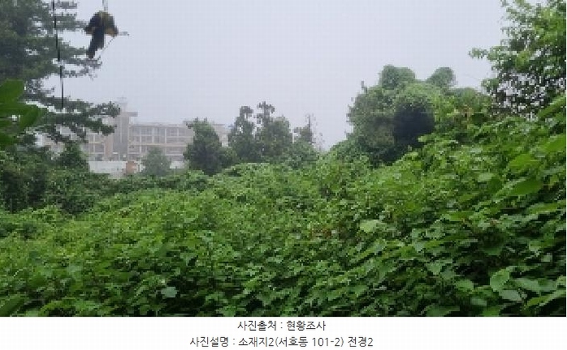 2025타경1380 제주특별자치도 서귀포시 서호동 101-2 임야 경매 이미지