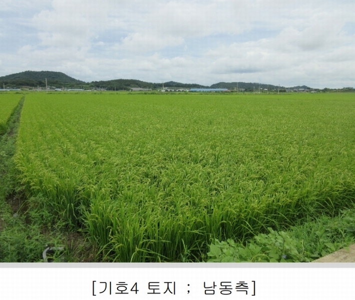 2025타경5368 전라남도 나주시 동강면 장동리 1446-7 농지 경매 이미지