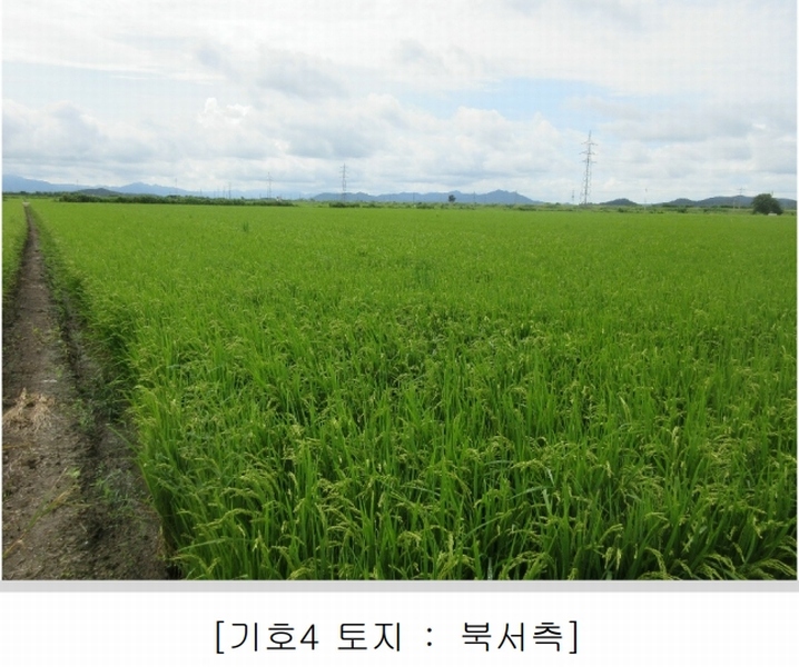 2025타경5368 전라남도 나주시 동강면 장동리 1446-7 농지 경매 이미지