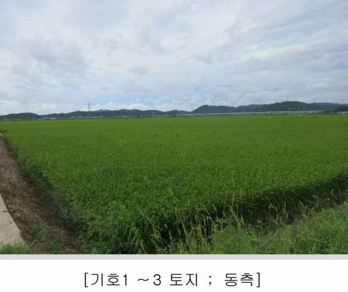2025타경5368 전라남도 나주시 동강면 장동리 1446-3 농지 경매 이미지