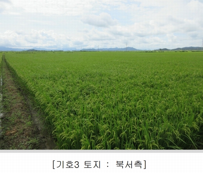 2025타경5368 전라남도 나주시 동강면 장동리 1446-3 농지 경매 이미지