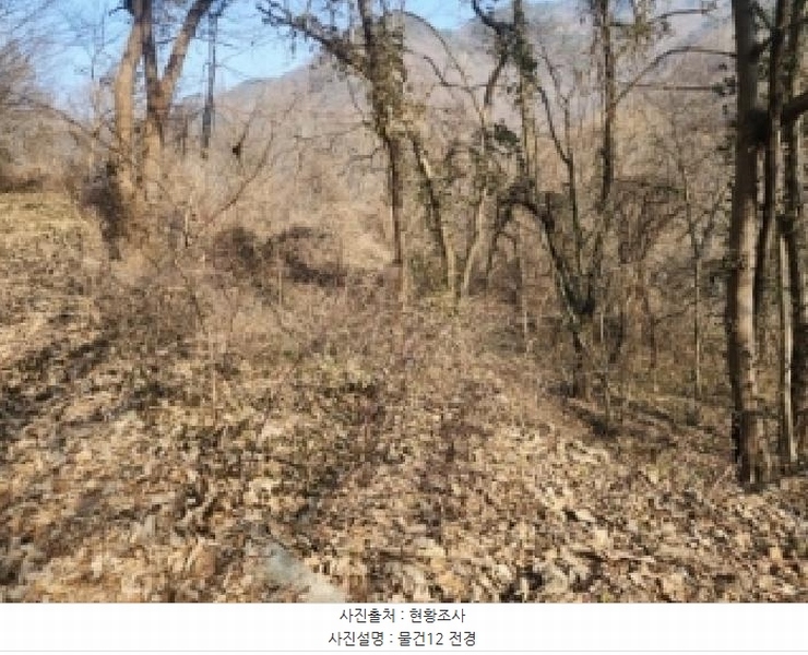 2025타경52543 전라남도 구례군 문척면 중산리 462-1 농지 경매 이미지
