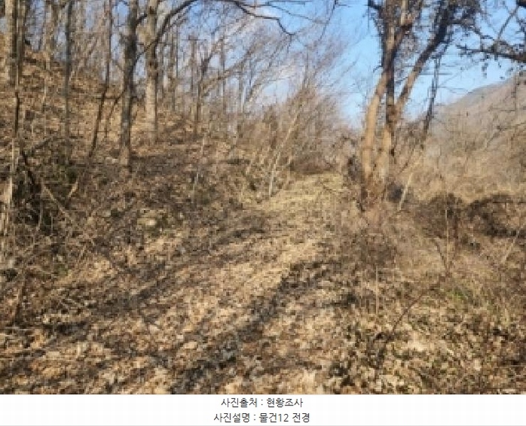2025타경52543 전라남도 구례군 문척면 중산리 462-1 농지 경매 이미지