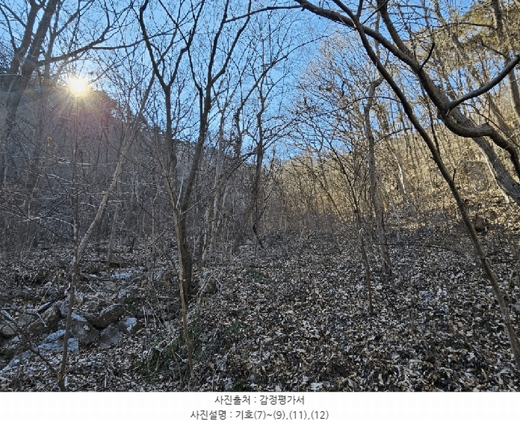 2025타경52543 전라남도 구례군 문척면 중산리 458 농지 경매 이미지