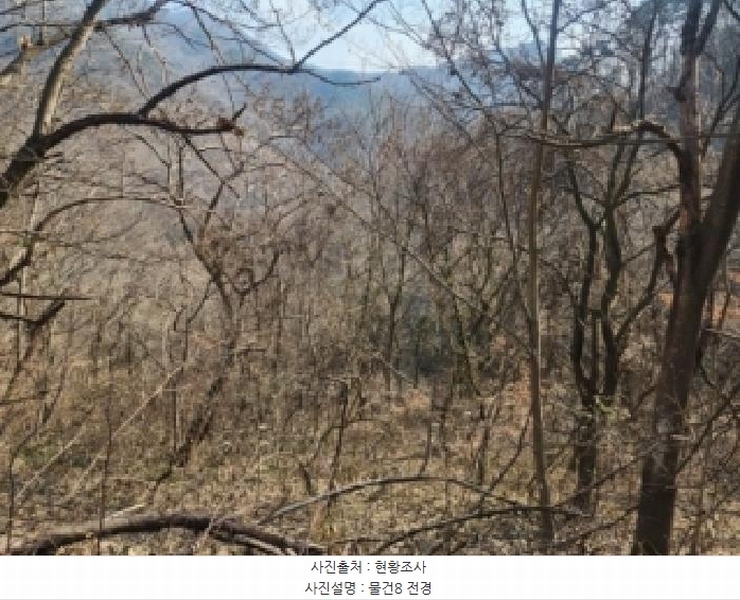 2025타경52543 전라남도 구례군 문척면 중산리 457 농지 경매 이미지