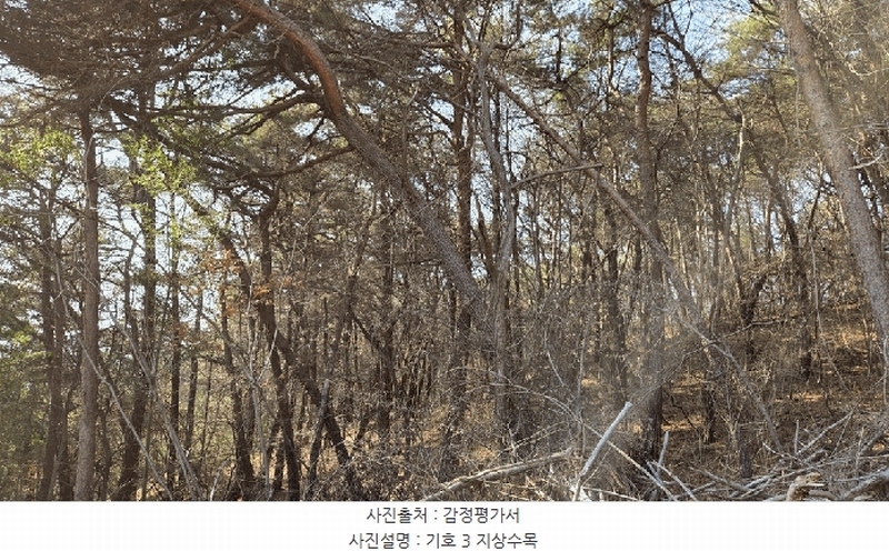 2026타경10 전라남도 순천시 주암면 궁각리 산88-6 임야 경매 이미지