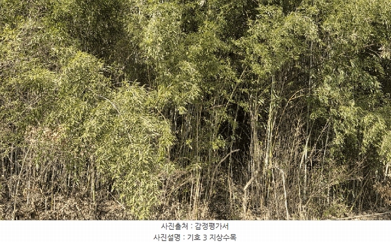2026타경10 전라남도 순천시 주암면 궁각리 산88-6 임야 경매 이미지