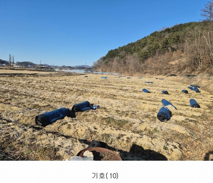 2026타경600042 충청남도 금산군 남일면 황풍리 124-28 농지 경매 이미지