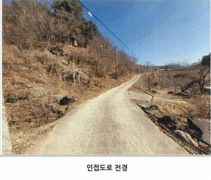 2025타경10143 경상북도 봉화군 명호면 관창리 산19-5 임야 경매 이미지