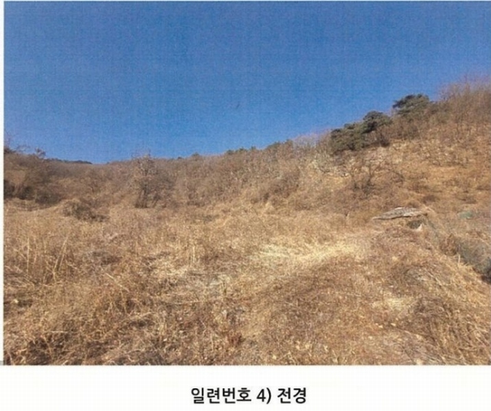 2025타경10143 경상북도 봉화군 명호면 관창리 산19-5 임야 경매 이미지