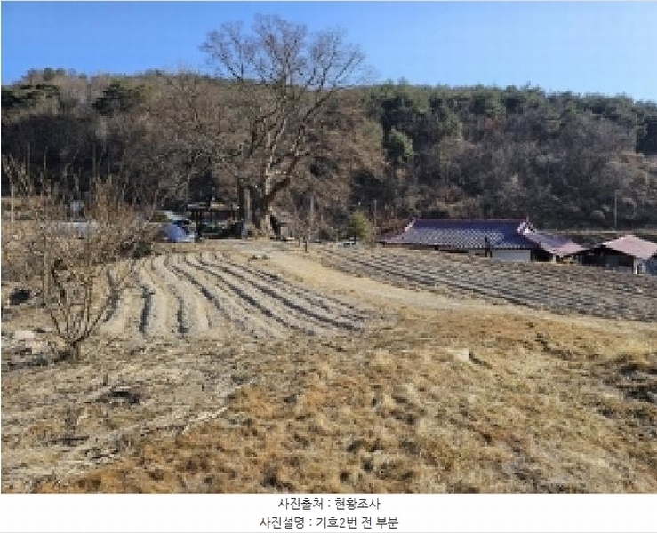 2025타경10143 경상북도 봉화군 명호면 관창리 산19-5 임야 경매 이미지