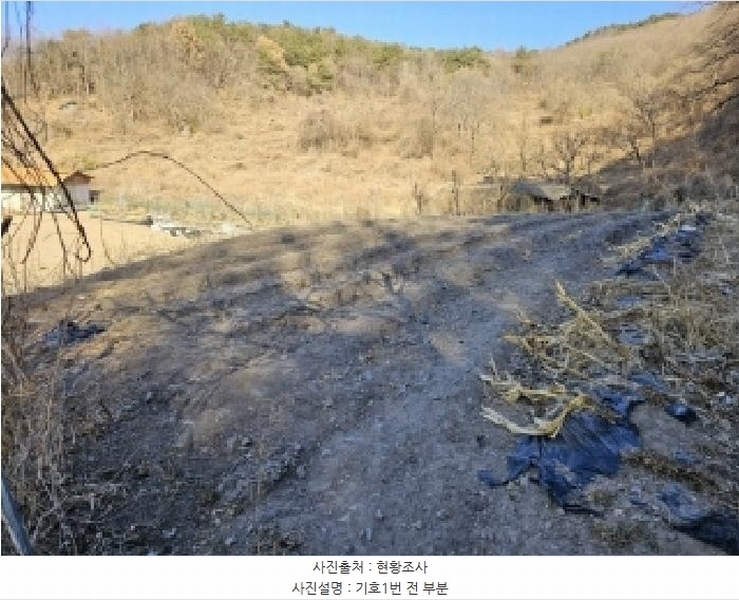 2025타경10143 경상북도 봉화군 명호면 관창리 산19-5 임야 경매 이미지