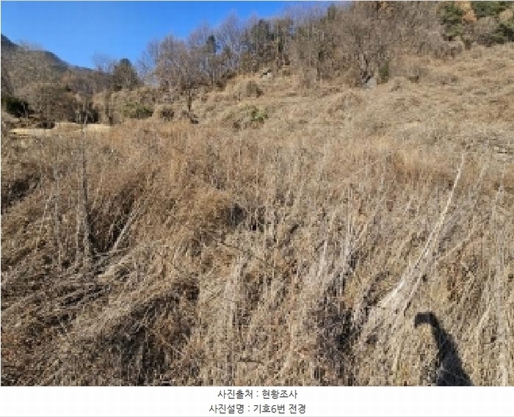 2025타경10143 경상북도 봉화군 명호면 관창리 산19-5 임야 경매 이미지