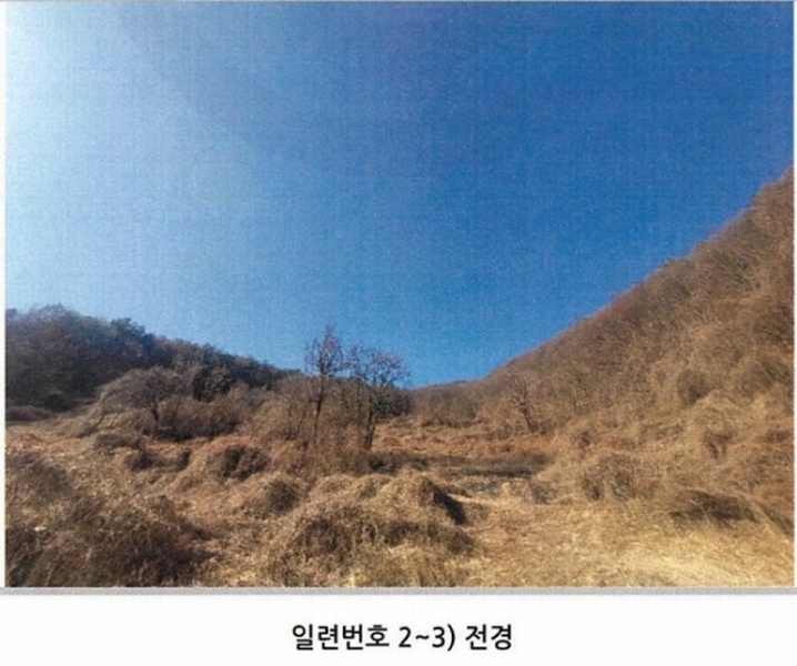 2025타경10143 경상북도 봉화군 명호면 관창리 산19-5 임야 경매 이미지