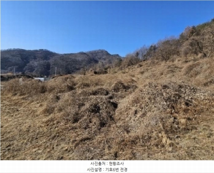 2025타경10143 경상북도 봉화군 명호면 관창리 산19-5 임야 경매 이미지