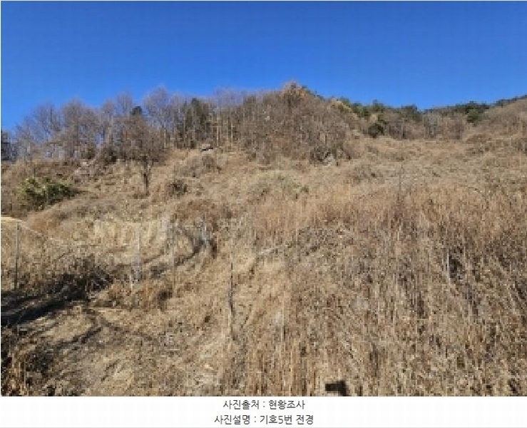 2025타경10143 경상북도 봉화군 명호면 관창리 산19-5 임야 경매 이미지