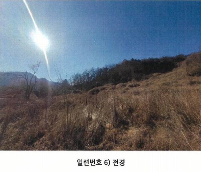 2025타경10143 경상북도 봉화군 명호면 관창리 산19-5 임야 경매 이미지