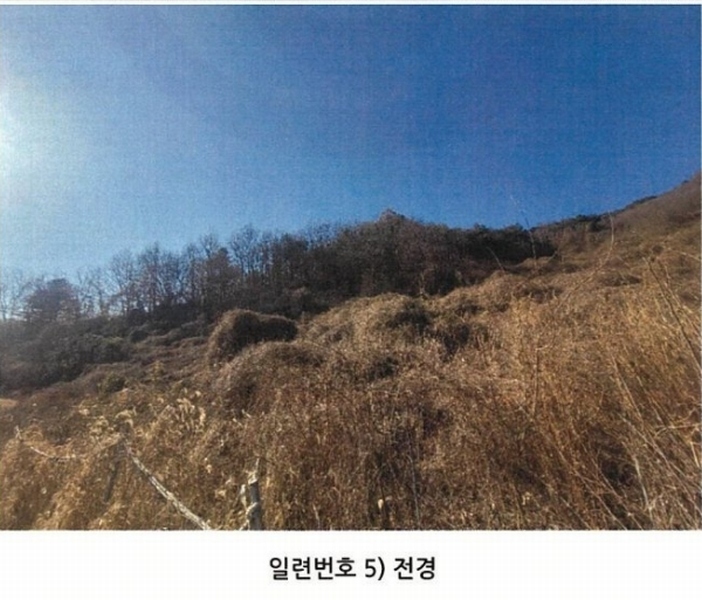 2025타경10143 경상북도 봉화군 명호면 관창리 산19-5 임야 경매 이미지
