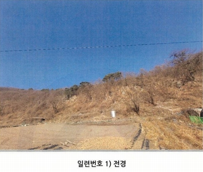 2025타경10143 경상북도 봉화군 명호면 관창리 산19-5 임야 경매 이미지