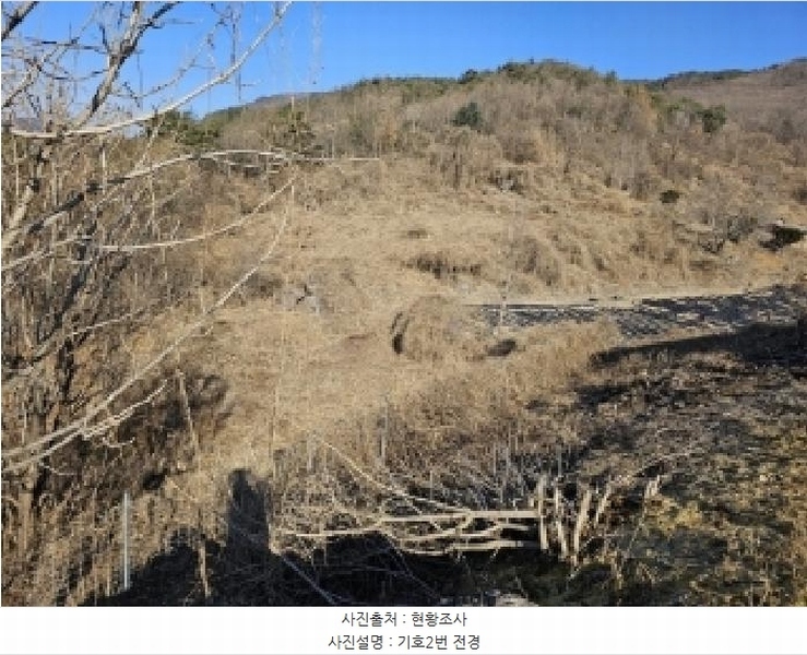 2025타경10143 경상북도 봉화군 명호면 관창리 산19-5 임야 경매 이미지