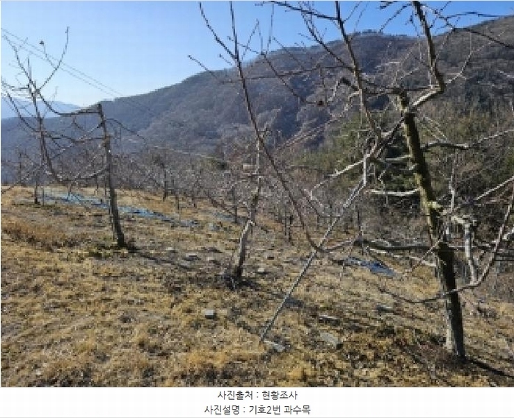 2025타경10143 경상북도 봉화군 명호면 관창리 산19-5 임야 경매 이미지