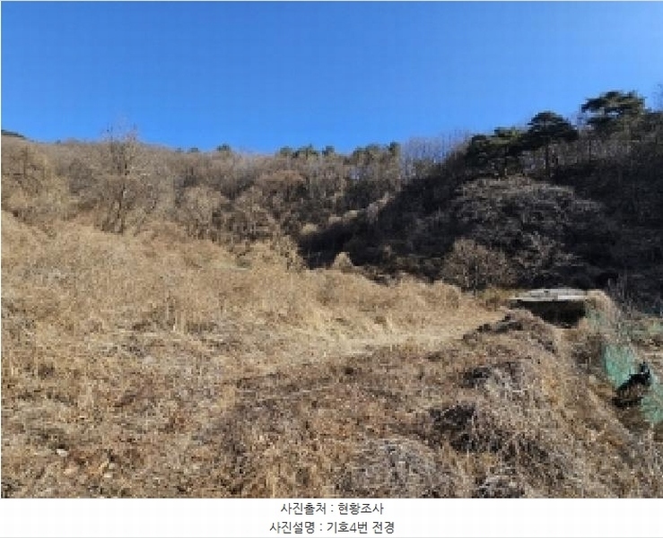 2025타경10143 경상북도 봉화군 명호면 관창리 산19-5 임야 경매 이미지