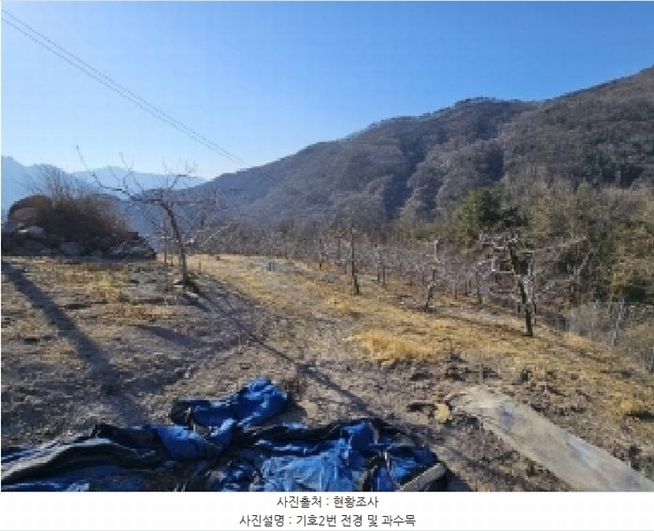 2025타경10143 경상북도 봉화군 명호면 관창리 산19-5 임야 경매 이미지